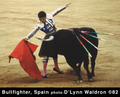 bullfighterfw.jpg
