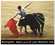BullfighterFW.psd