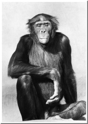 Kevinsitting.psd