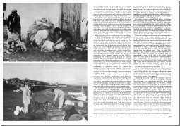 Geographical  5-6r.tif