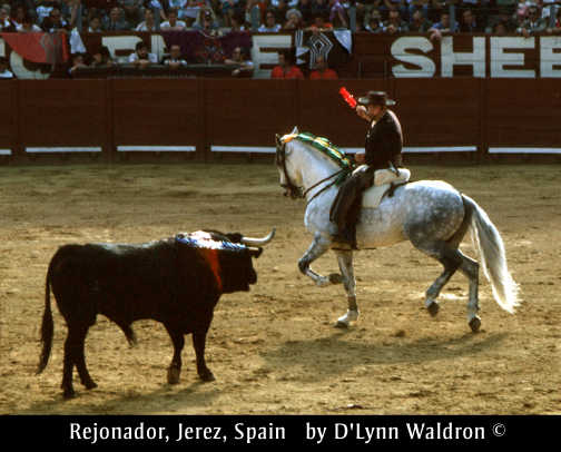 rejonador.jpg