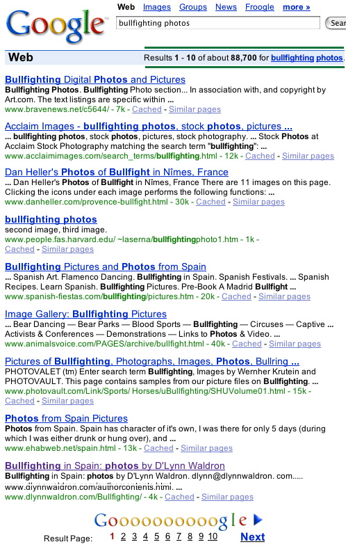 bullfightphotosgoogle.jpg