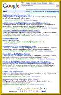 BullfightPhotosGoogle.psd