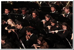 MusiciansFull_0443.jpg
