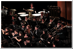 MusiciansAllEthnicFull_0337.jpg