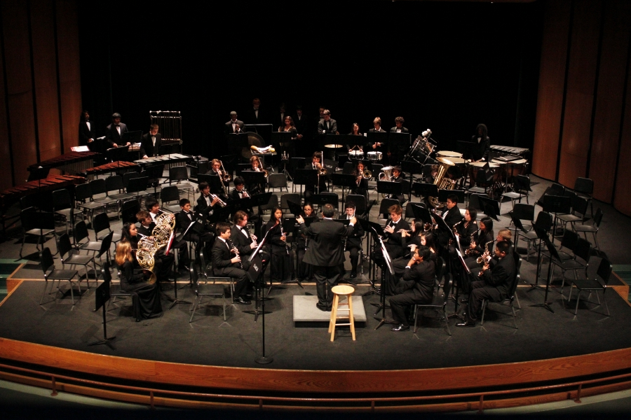 bandconcert_9031.jpg
