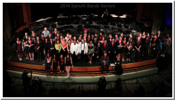 Bands2014Seniors-DLW_1113.jpg