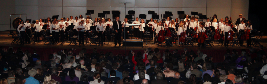 elementalstringsbowcr_0921.jpg