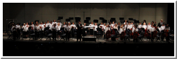 ElementalStringsBowCR_0922.jpg