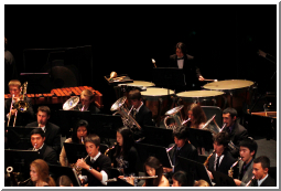Musicians_0137.jpg