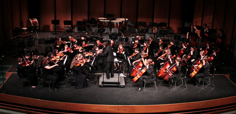 orchestraswenson_2305.jpg