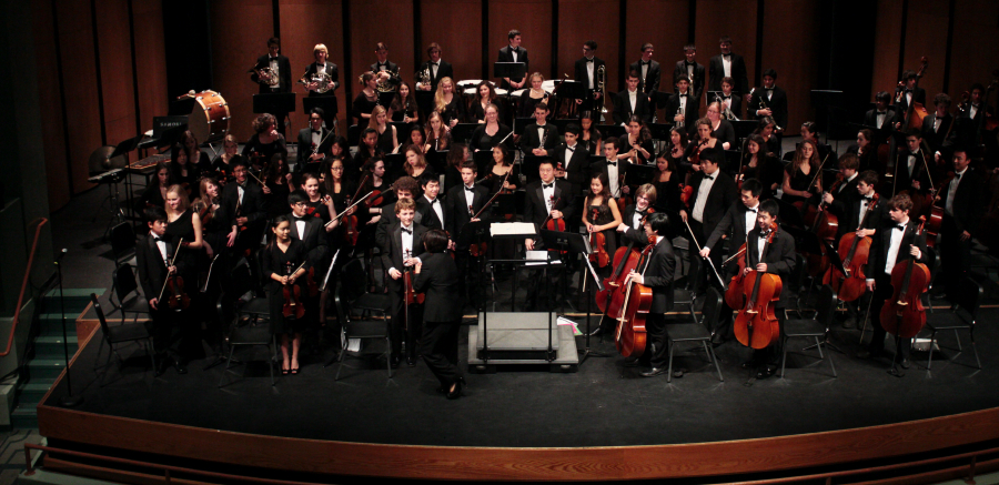 orchestraswenson_2880.jpg