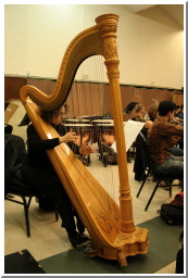 Harp2_MG_2403.psd