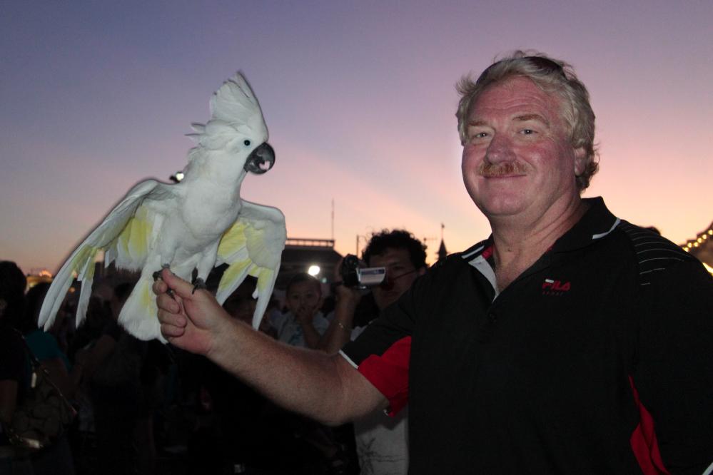 mancockatoo_2985.jpg