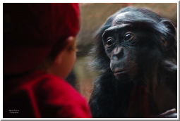 bon boy in red with vic.jpg