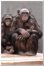 Bon jax family portrait copy best8 x 10 copy.jpg