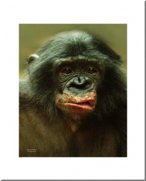 Zuri weird face.jpg